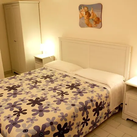 Midie * 사벨레트리